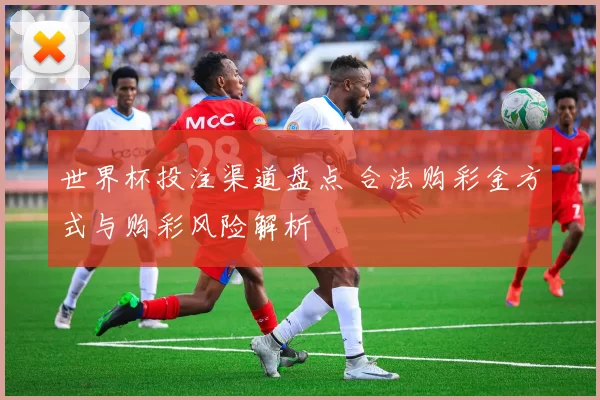 世界杯投注渠道盘点 合法购彩金方式与购彩风险解析