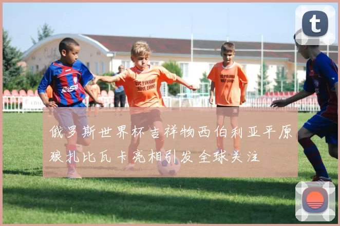 俄罗斯世界杯吉祥物西伯利亚平原狼扎比瓦卡亮相引发全球关注