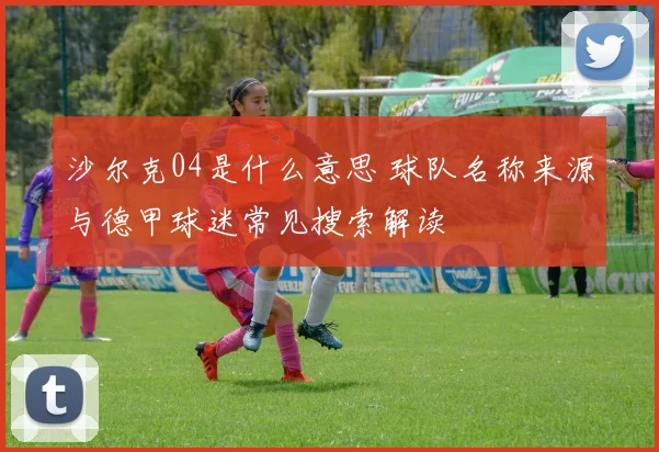 沙尔克04是什么意思 球队名称来源与德甲球迷常见搜索解读